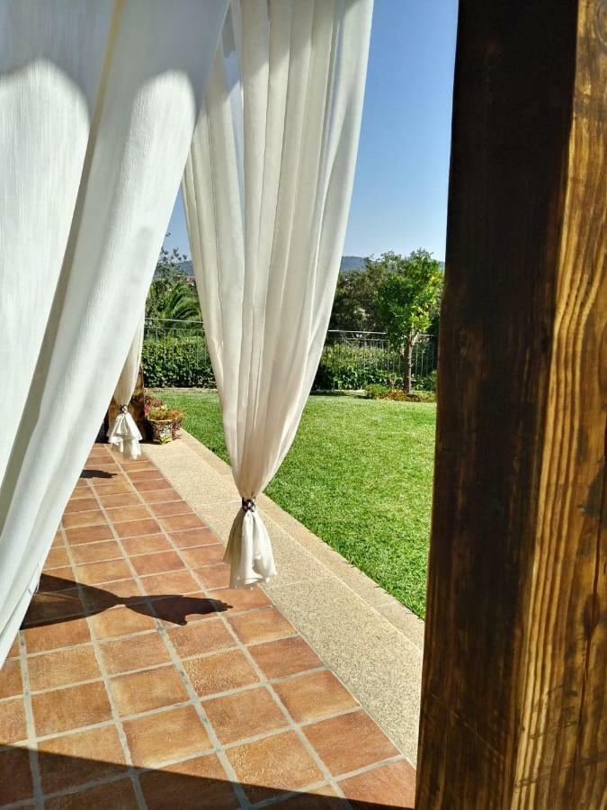 Jardin De La Yedra Guest House Caceres Exterior photo