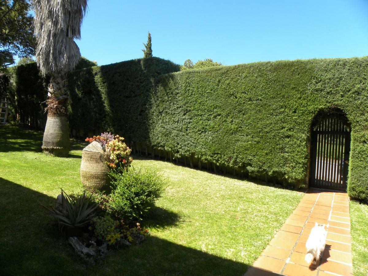 Jardin De La Yedra Guest House Caceres Exterior photo